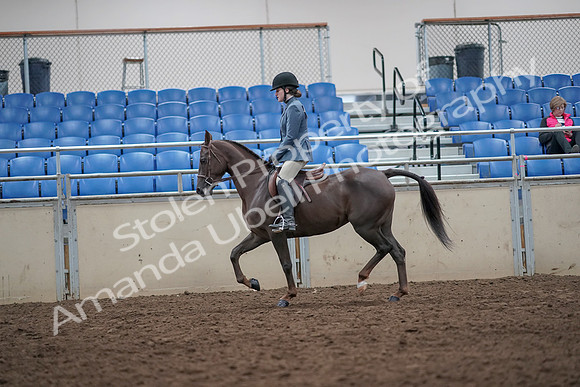 2019 Morgan Horse Show - Aug 31, 2019 - 16625