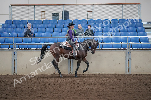 2019 Morgan Horse Show - Aug 31, 2019 - 10698