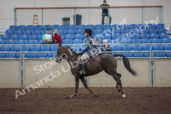 2019 Morgan Horse Show - Aug 31, 2019 - 05130
