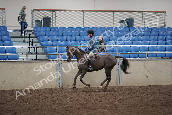 2019 Morgan Horse Show - Aug 31, 2019 - 07337