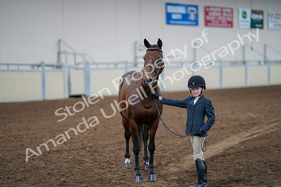 2020 - AB Morgan Horse - Fri, Sept 04 - 01031