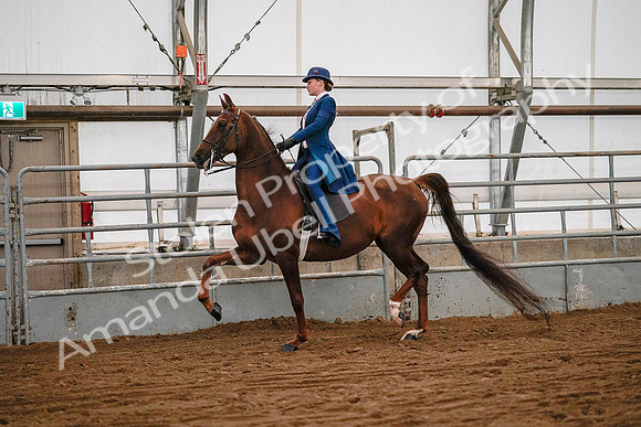 July 19, 2019 - 8678