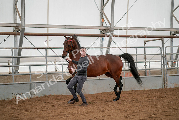 July 19, 2019 - 1184