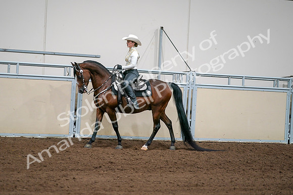 2020 - AB Morgan Horse - Fri, Sept 04 - 08362