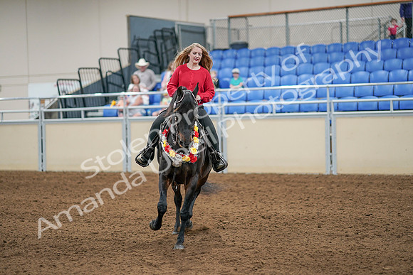 2020 - AB Morgan Horse - Sat, Sept 05 - 10435
