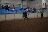 2019 Morgan Horse Show - Aug 30, 2019 - 24646