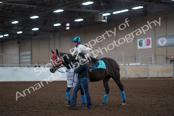 2019 Morgan Horse Show - Aug 31, 2019 - 10107