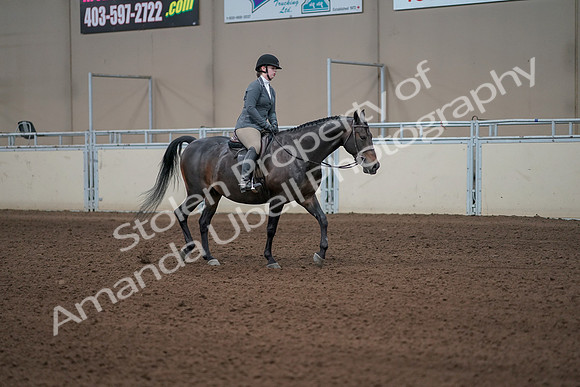 2019 Morgan Horse Show - Sept 01, 2019 - 11079