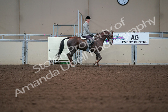 2019 Morgan Horse Show - Aug 30, 2019 - 18501