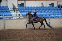 2019 Morgan Horse Show - Sept 01, 2019 - 12749