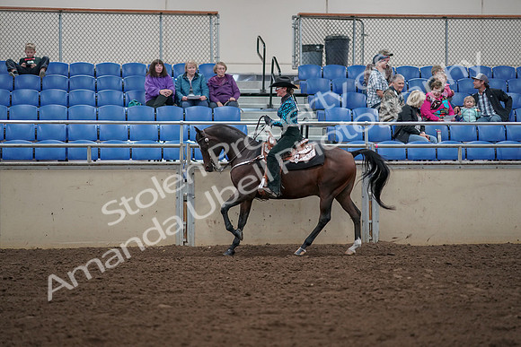 2019 Morgan Horse Show - Aug 30, 2019 - 26064