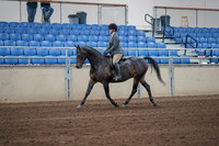 2019 Morgan Horse Show - Sept 01, 2019 - 10883