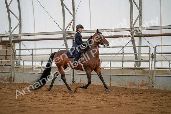 July 19, 2019 - 4146