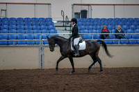 2019 Morgan Horse Show - Aug 31, 2019 - 16499