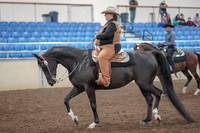 2019 Morgan Horse Show - Aug 31, 2019 - 06017