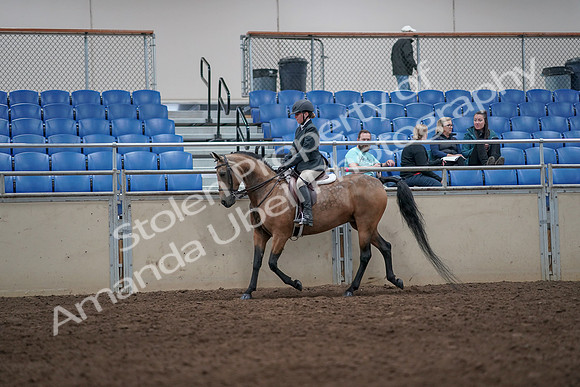 2019 Morgan Horse Show - Aug 31, 2019 - 08055