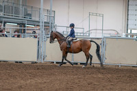 2020 - AB Morgan Horse - Sat, Sept 05 - 01734