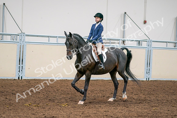 2020 - AB Morgan Horse - Sun, Sept 06 - 08178