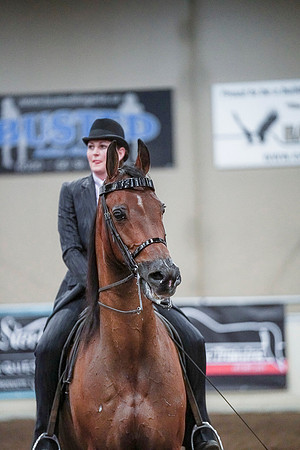 Spring Fling - Saturday - April 20, 2019  -  00873