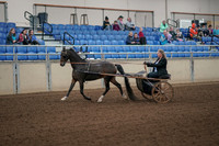 2019 Morgan Horse Show - Aug 31, 2019 - 04223