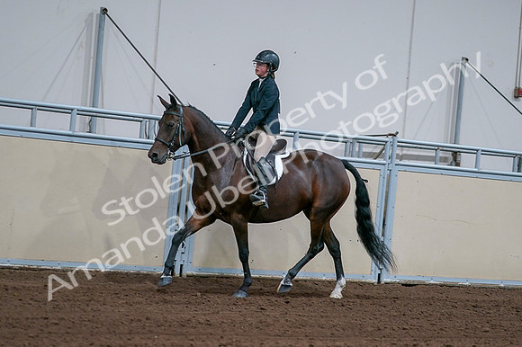 2020 - AB Morgan Horse - Fri, Sept 04 - 01656