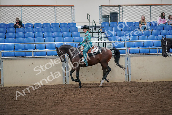 2019 Morgan Horse Show - Aug 30, 2019 - 16883
