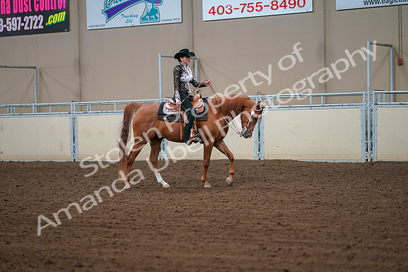 2019 Morgan Horse Show - Aug 30, 2019 - 16925