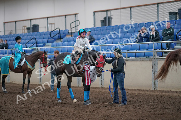 2019 Morgan Horse Show - Aug 31, 2019 - 10112