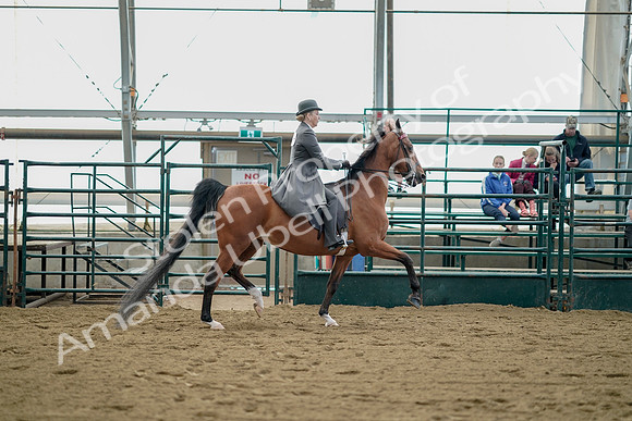 July 21, 2019 - 01840