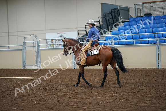 2020 - AB Morgan Horse - Fri, Sept 04 - 00183