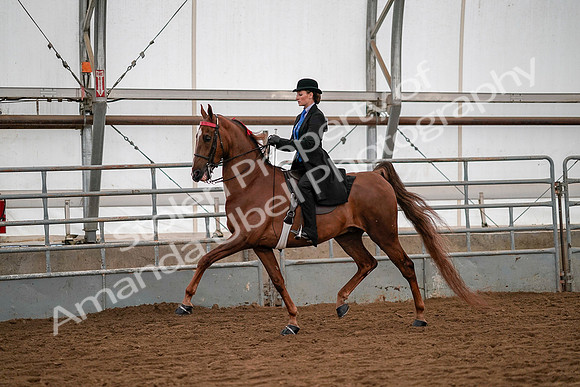 July 19, 2019 - 10302