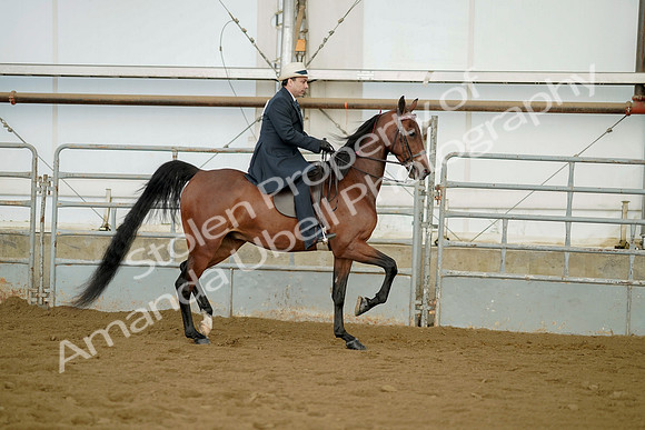 July 21, 2019 - 01806