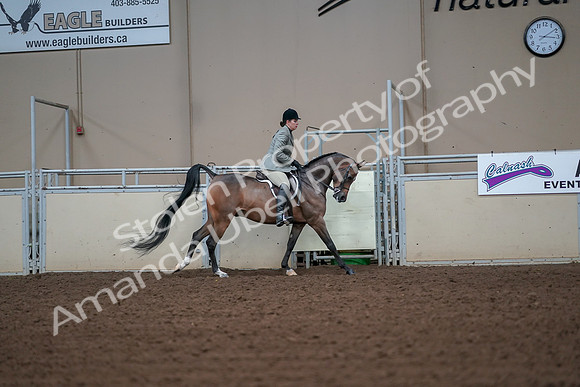 2019 Morgan Horse Show - Aug 30, 2019 - 17611