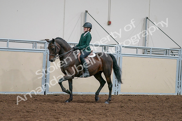 2020 - AB Morgan Horse - Sat, Sept 05 - 05038