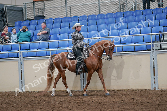 2020 - AB Morgan Horse - Sun, Sept 06 - 07546