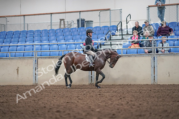 2019 Morgan Horse Show - Aug 31, 2019 - 19679