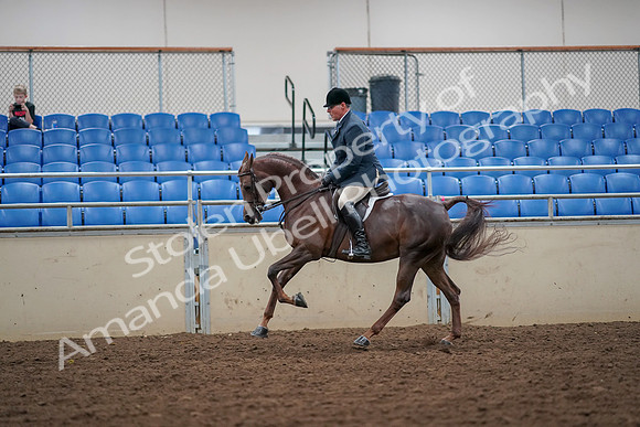 2019 Morgan Horse Show - Aug 30, 2019 - 17432