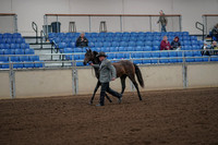 2019 Morgan Horse Show - Aug 30, 2019 - 25686