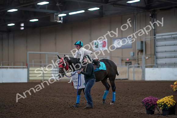 2019 Morgan Horse Show - Aug 31, 2019 - 10093