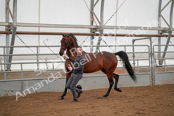July 19, 2019 - 1183