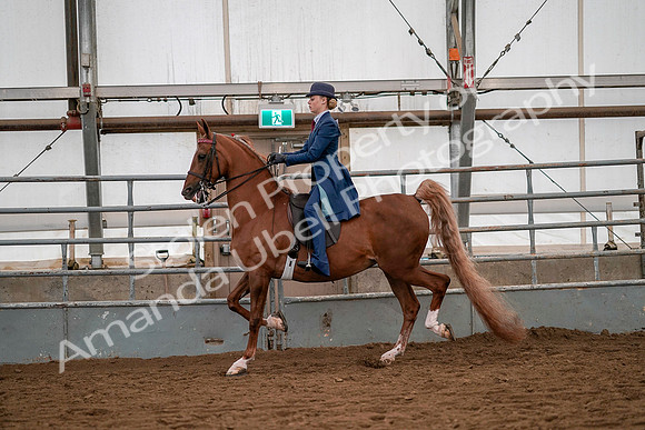 July 19, 2019 - 10246