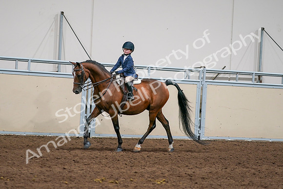 2020 - AB Morgan Horse - Sun, Sept 06 - 08165