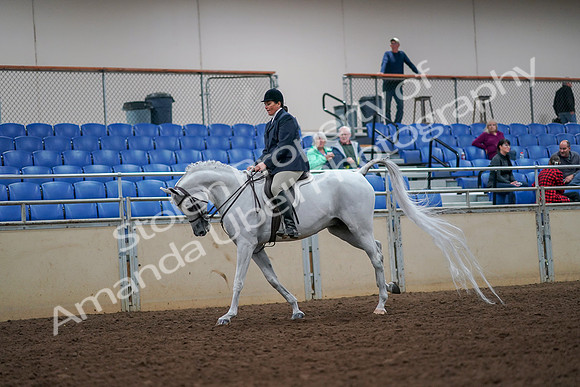 2019 Morgan Horse Show - Aug 30, 2019 - 17399