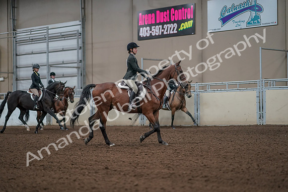 2019 Morgan Horse Show - Aug 31, 2019 - 05185