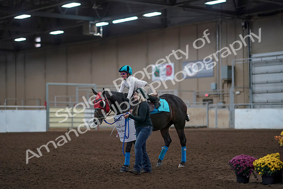 2019 Morgan Horse Show - Aug 31, 2019 - 10094