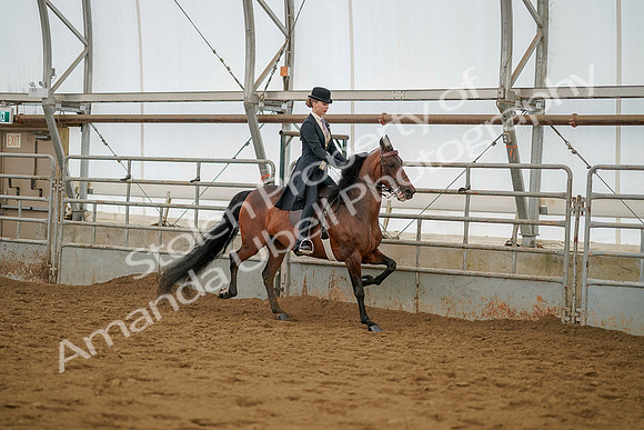 July 20, 2019 - 04587