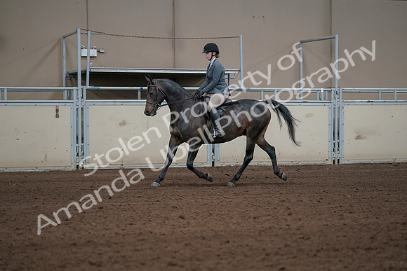 2019 Morgan Horse Show - Sept 01, 2019 - 10912