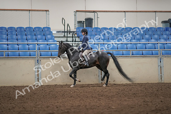 2019 Morgan Horse Show - Aug 31, 2019 - 04957