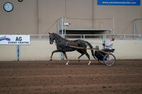 2019 Morgan Horse Show - Sept 01, 2019 - 05911
