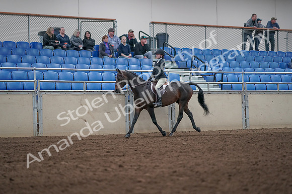2019 Morgan Horse Show - Aug 31, 2019 - 20410